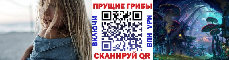 наркошоп  Карачаевск  Псилоцибиновые грибы Magic Shrooms 